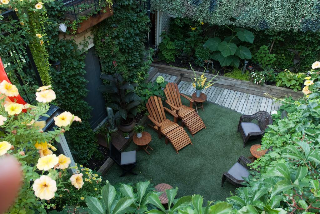 Sir Montcalm Gite B&B Montréal Exteriör bild